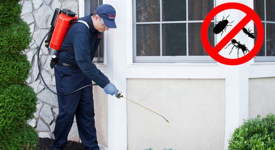 Atakent Fare İlaçlama böcek ilaçlama ve haşere kontrolü — ilaclama-tr.com